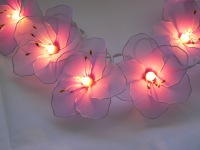 Hibiscus Flowering Fairy Light_sml.jpg